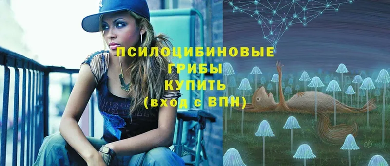 Псилоцибиновые грибы Cubensis  купить   кракен онион  Зверево 